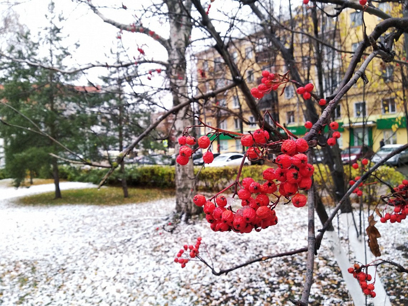 С наступлением зимы снега в Кирове не прибавится 