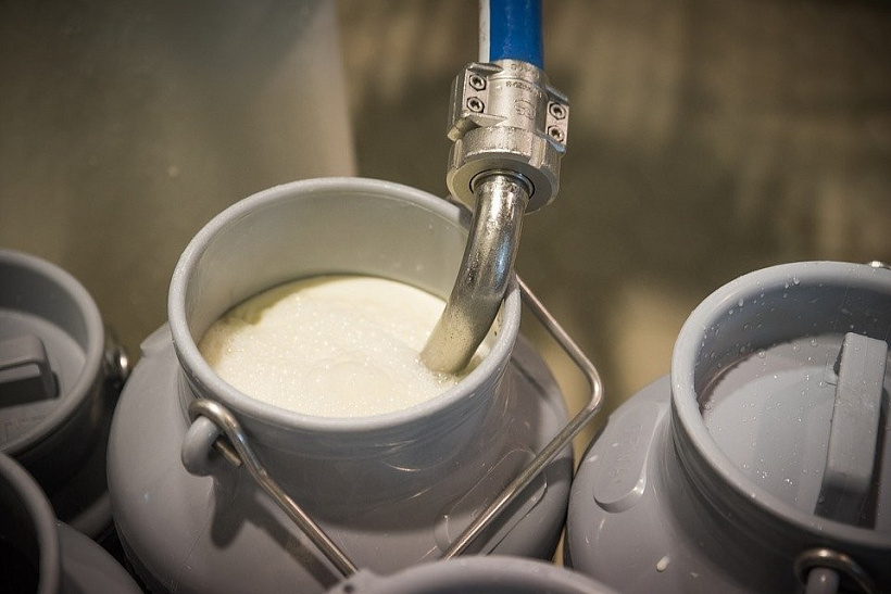 Кировская область заняла 5 место по производству молока в России