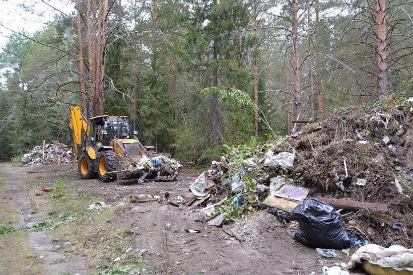 «Куприт» ликвидирует несанкционированную свалку в лесу под Кировом