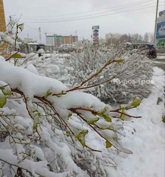Апрельский снег растает в Кирове в четверг 