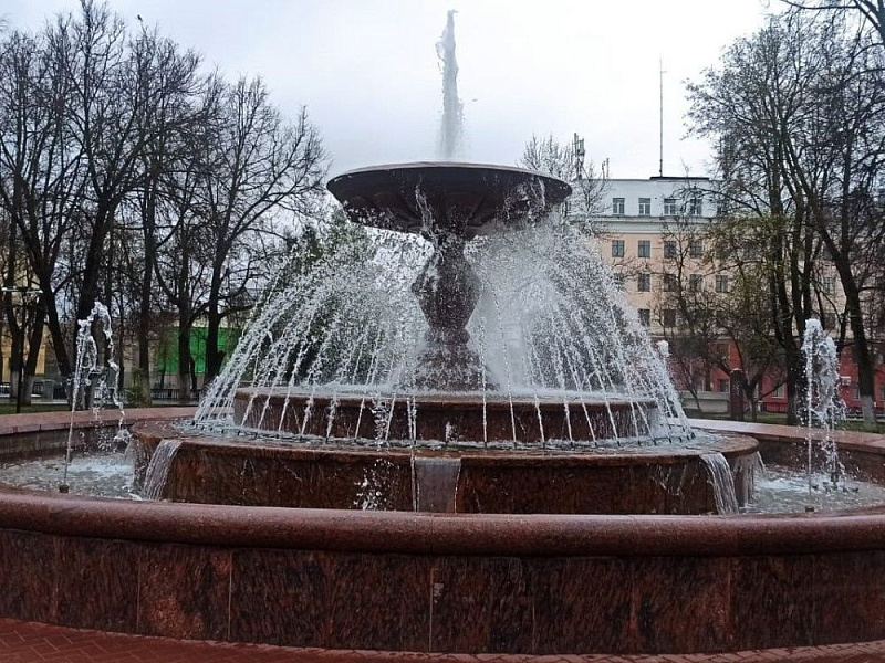 Куда девается мелочь из московских фонтанов?
