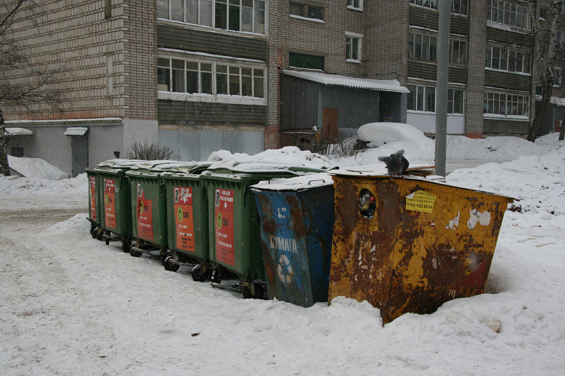 «Куприт» пообещал, что в праздники мусорные баки не будут переполнены 