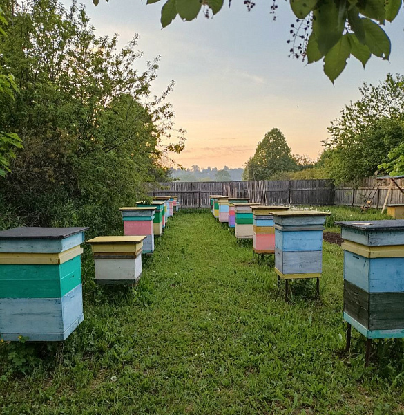 В Кирове отметят День пчеловода 