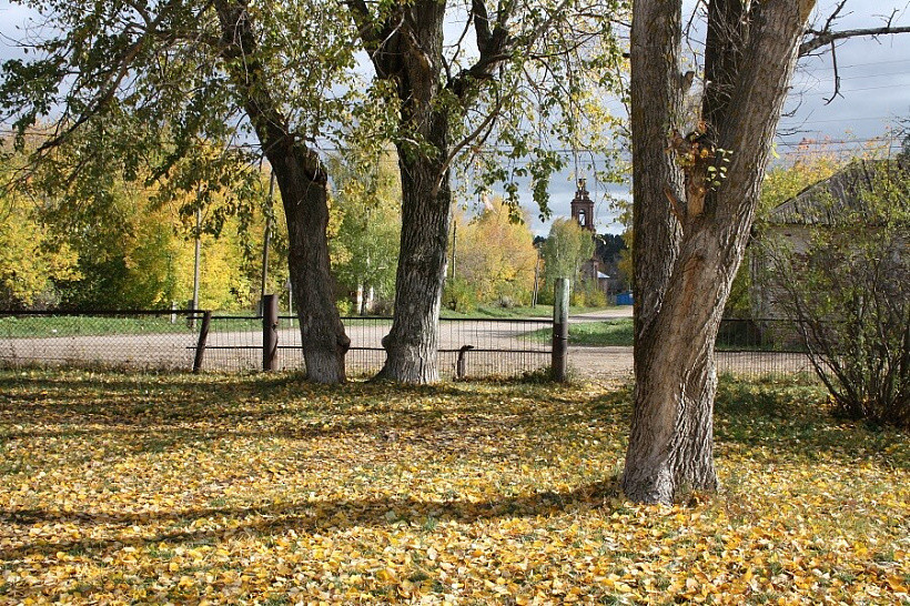 Начало сентября в Кирове будет сухим и теплым