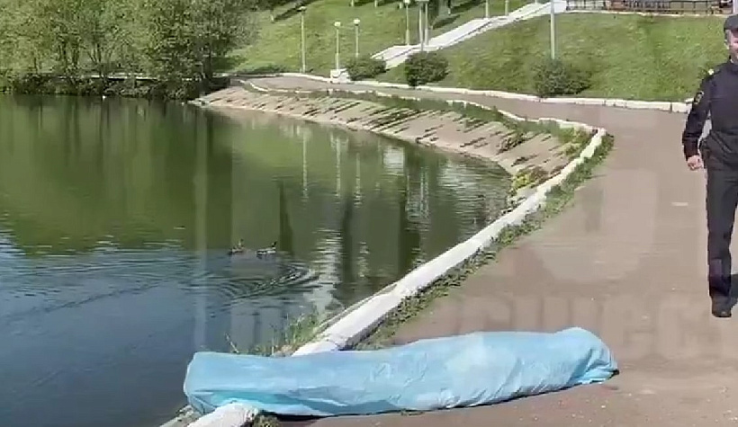 В Кирове в пруду у цирка обнаружили труп