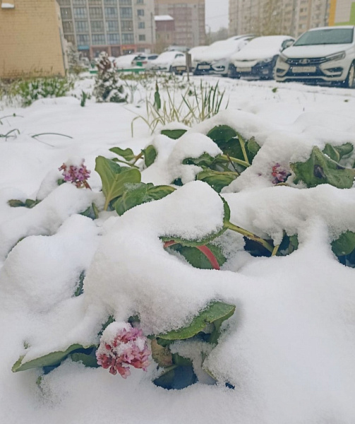 Непрекращающиеся снегопады ожидаются сегодня в Кирове