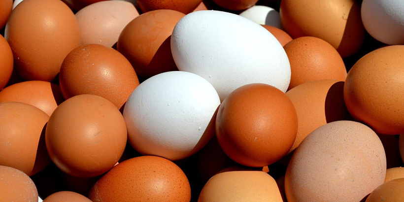 В Кировской области снизились цены на куриные яйца