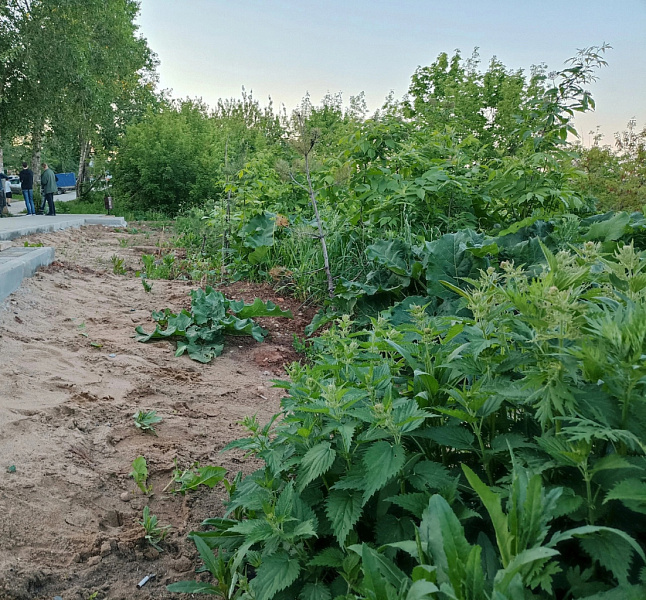Губернатор попросил глав районов прибираться не перед его приездом, а всегда
