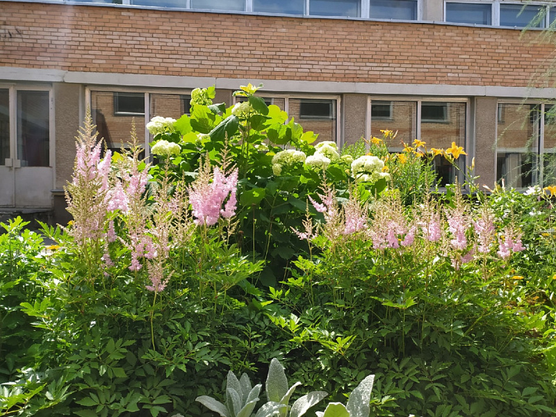 К юбилею Киров нарядится в цветочные одежды