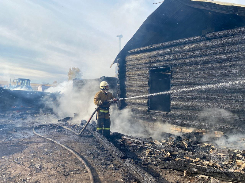 Мать с 7-летним сыном спаслись через окно во время пожара в Кировской области