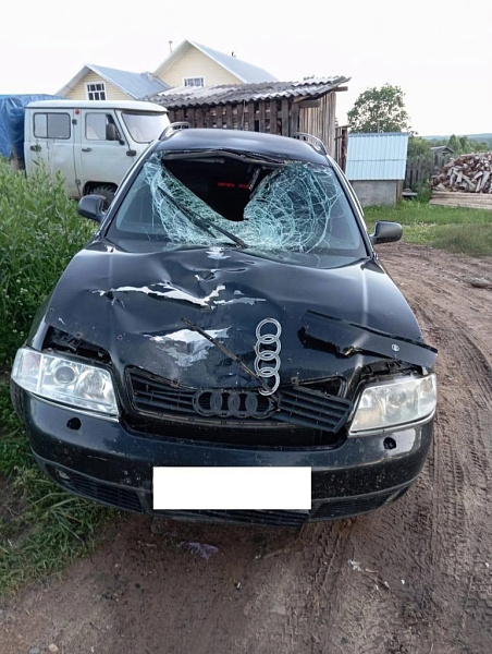 Водитель в Подосиновце сбил насмерть 14-летнего мальчика и скрылся с места