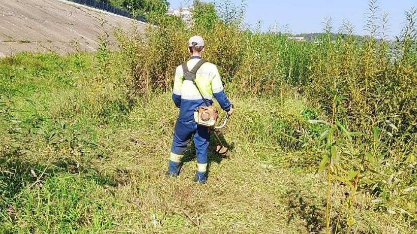 На набережной в Нововятске начали борьбу с зарослями