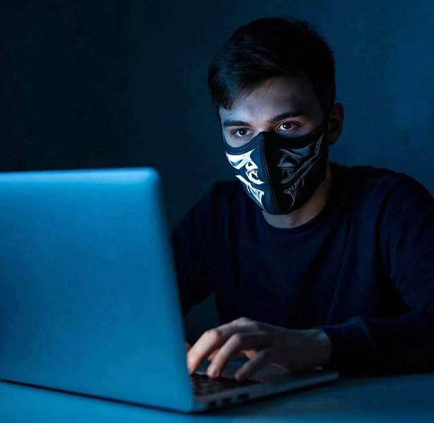 В Кировской области снизилось число киберобманов