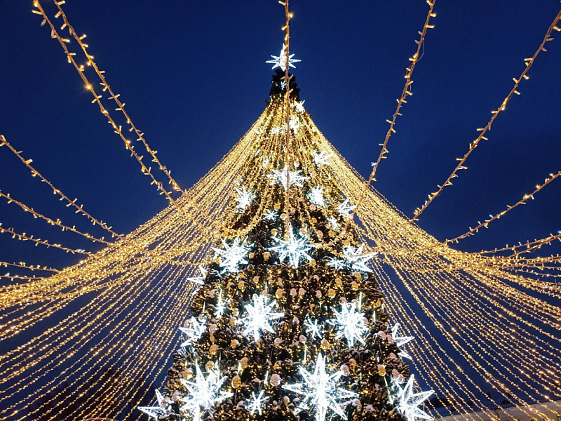 Кировчане воруют с новогодних городских елок шарики и срывают гирлянды