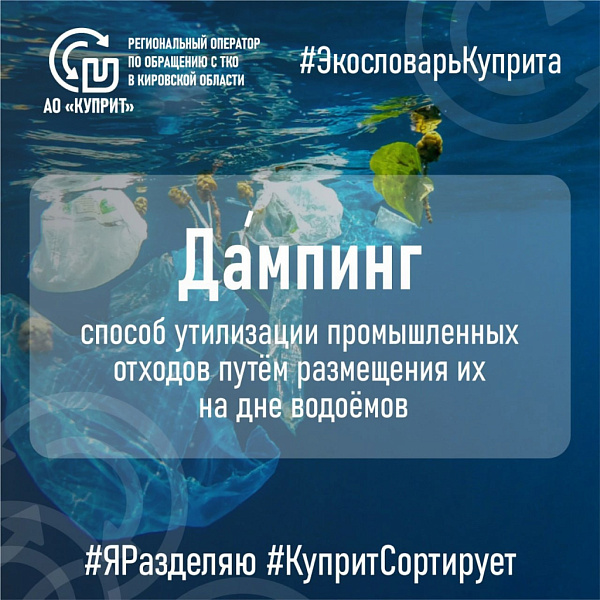  Что такое дампинг и как он влияет на окружающую среду
