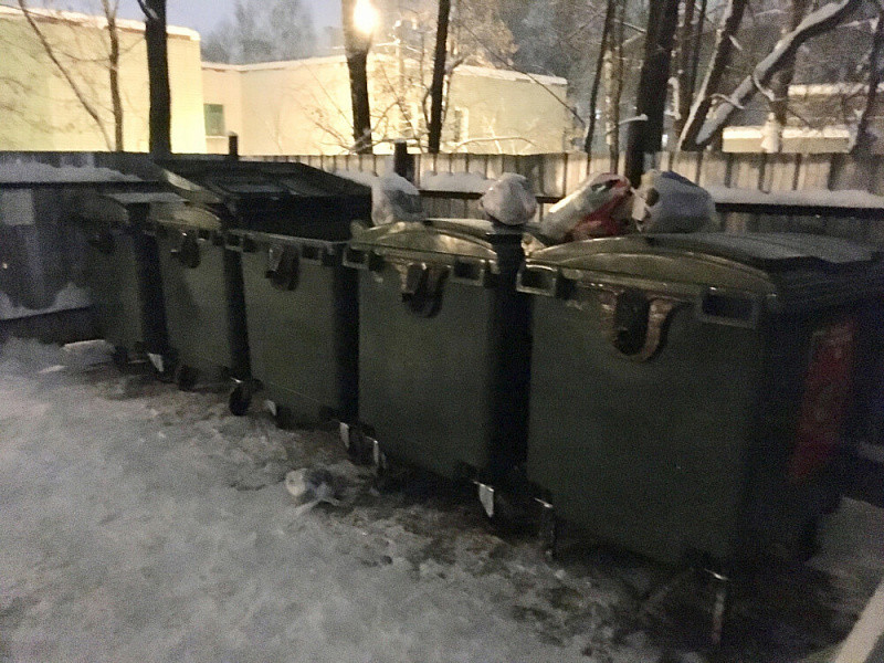 Кировчане недовольны новыми мусорными контейнерами