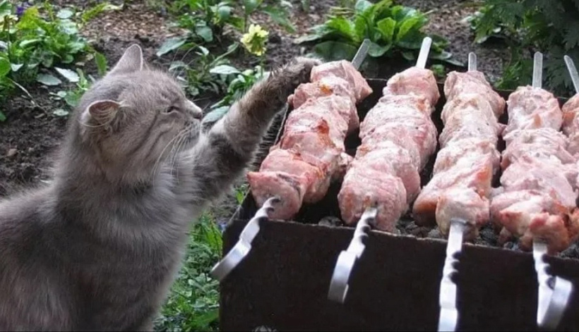 4% кировчан не одобряют длинные выходные в мае