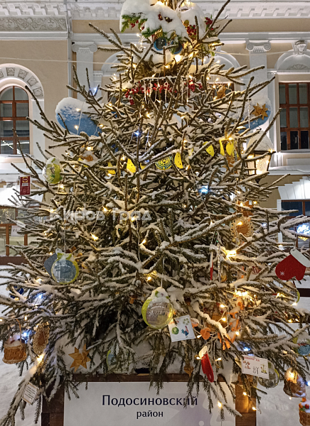 Лучшая ёлка Кировской области - из Подосиновского района