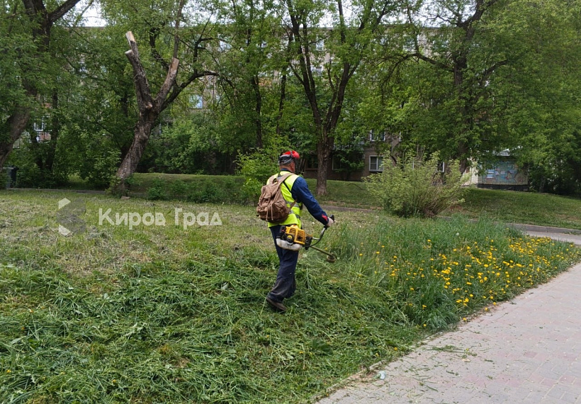 Трава в Кирове растёт на глазах