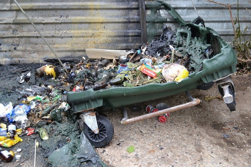Региональный оператор отмечает участившиеся случаи «мусорного вандализма»