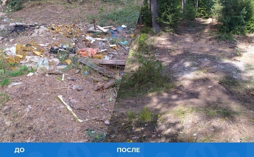 В лесу между Порошино и Сидоровской ликвидировали несанкционированную свалку