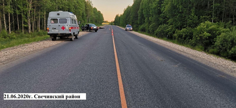 5 человек пострадали в Кировской области в ДТП из-за выбежавших на дорогу лосей