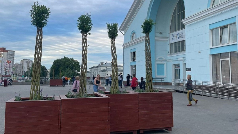 В Кирове выставлены около 50 контейнеров с ивовыми «пальмами»