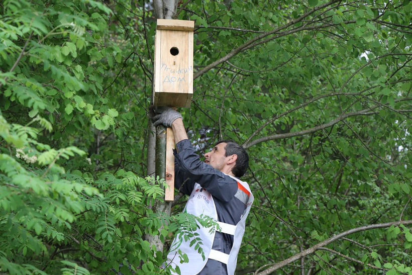 Сотрудники «Т Плюс» очистили от мусора прибрежную зону пруда в Заборье