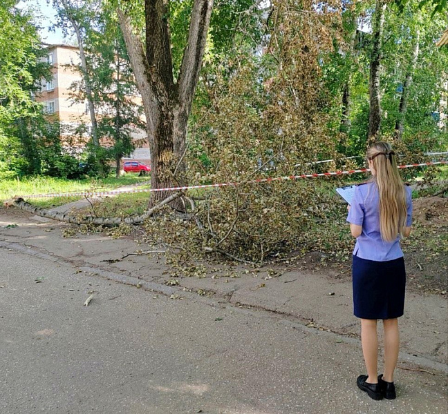 За смерть девочки в Кирово-Чепецке ответит экс-директор Дорожно-эксплуатационной службы