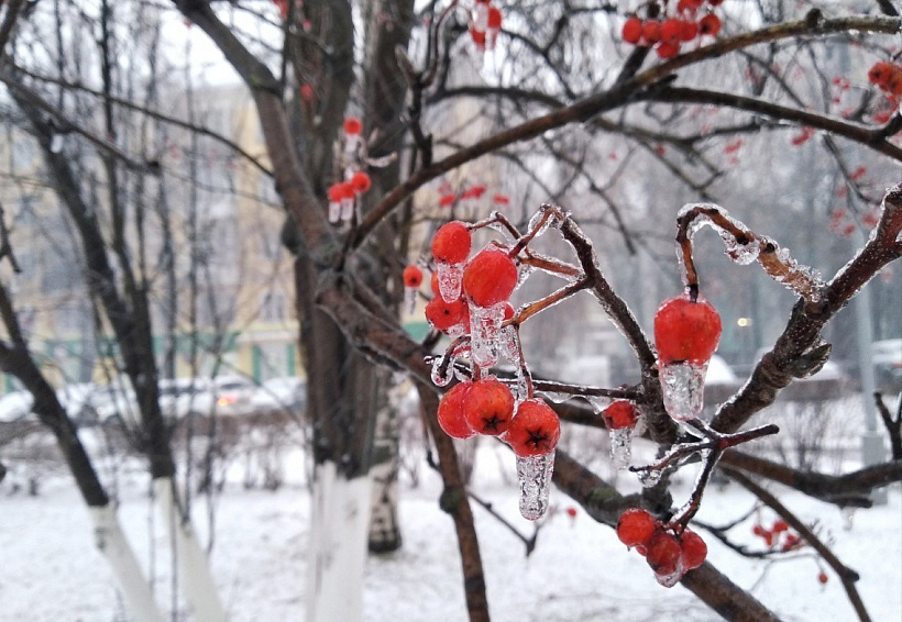 В Кирове - очередное потепление