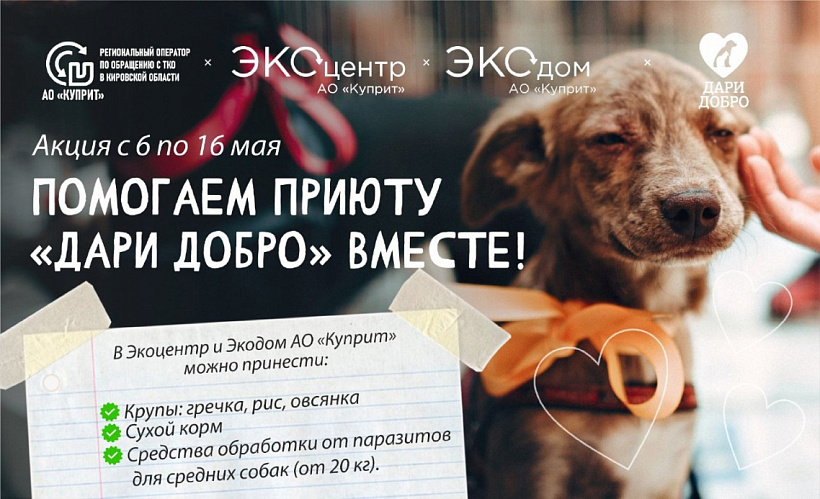 Экоцентр запустил сбор помощи для животных приюта «Дари Добро»