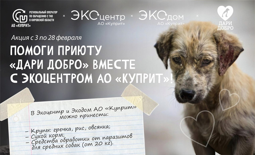 Регоператор объявил о старте в Кировской области очередной акции акции в поддержку животных