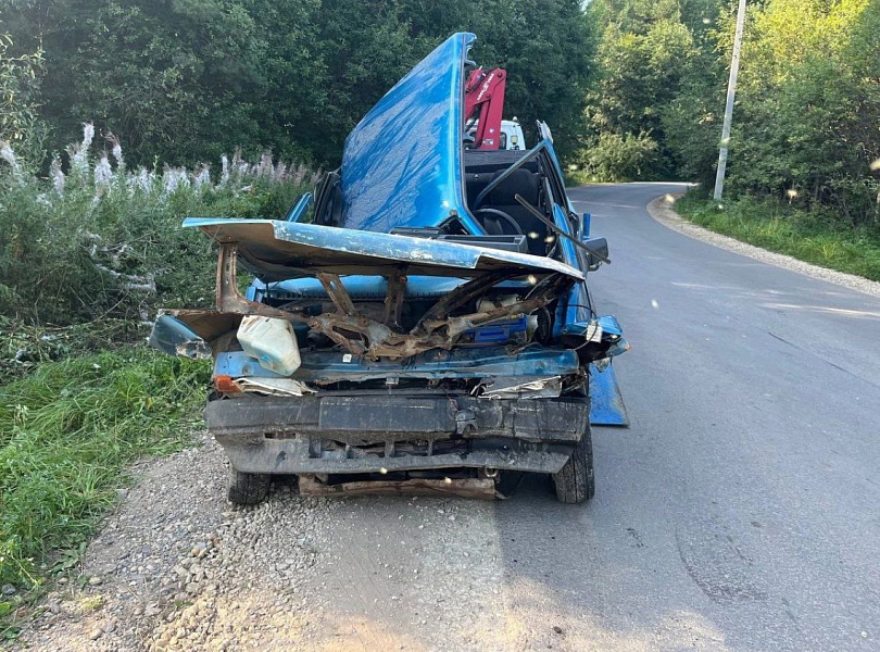 В ДТП под Кировом погиб водитель-бесправник и пострадали 2 пассажира