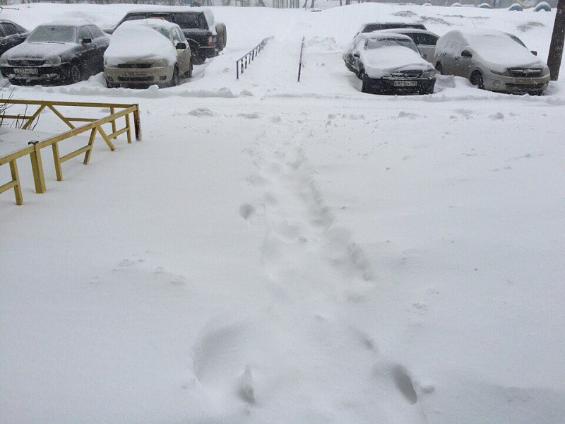 ГДМС могут наказать за заваленные снегом тротуары
