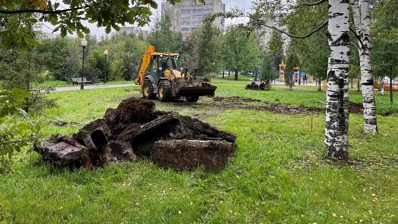 В Кочуровском парке строят спортплощадку