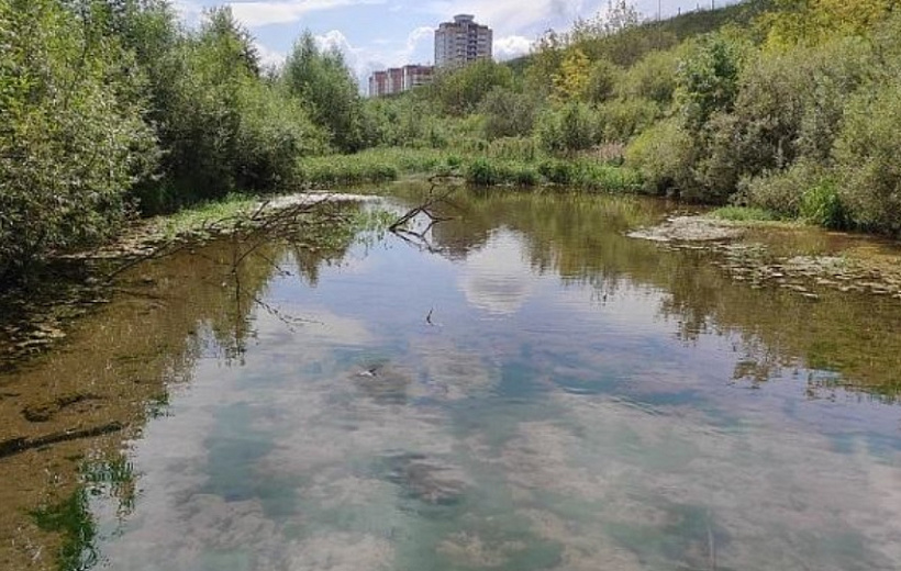 Проект расчистки Ежовского озера обойдется в 2 млн рублей