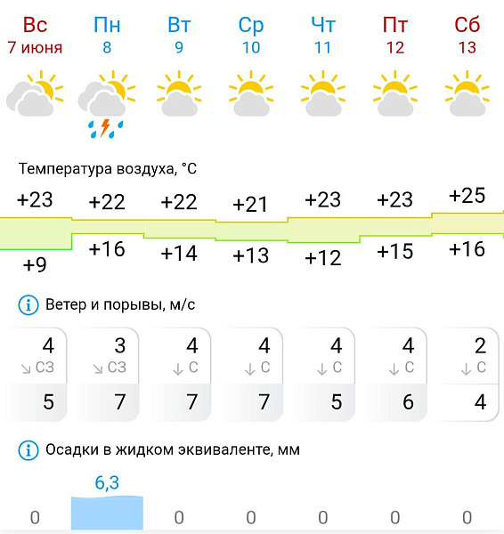 Эта неделя в Кирове будет сухой и комфортно-теплой