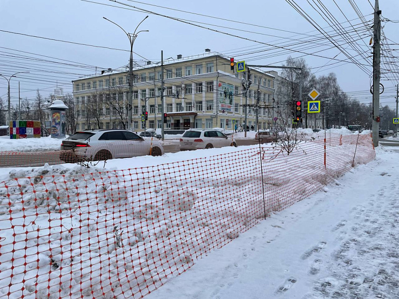 В Кирове устанавливают защитные сетки для саженцев деревьев