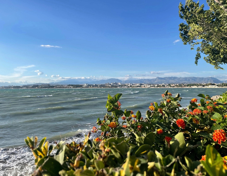 Отдых на Черноморском побережье России подорожал для кировчан за месяц на 16,5%