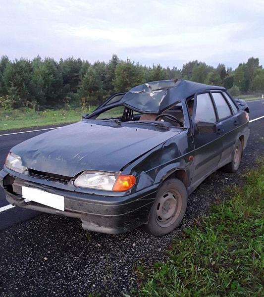 Два человека пострадали в ДТП с лосем в Кировской области