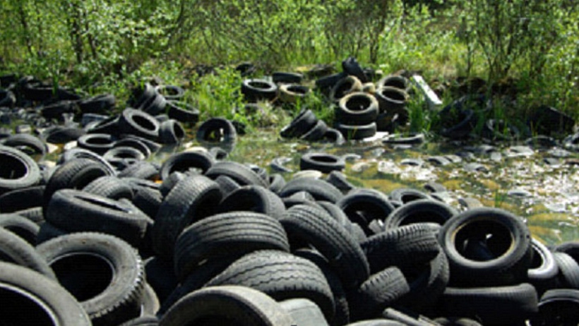 В Кировской области ищут возможности для утилизации старых шин