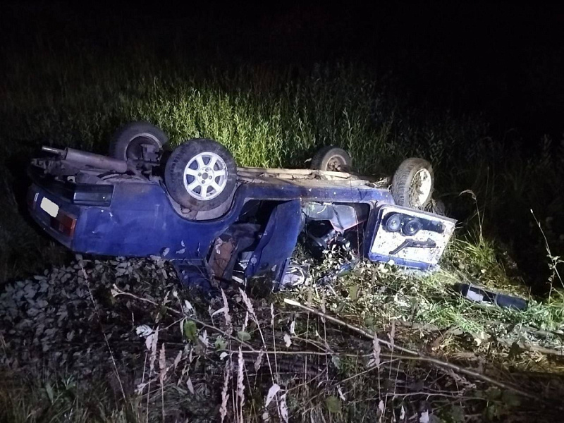 21-летний бесправник в Кировской области попал в ДТП с лосем