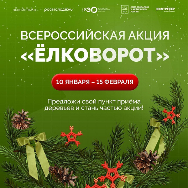 Присоединяйтесь к «Ёлковороту»!