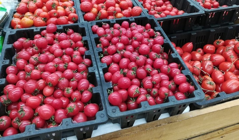 Огурцы и помидоры за месяц стали дороже для кировчан на 60-70 процентов