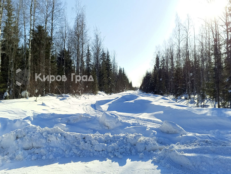 Обилие снега повысило результативность охоты в Кировской области